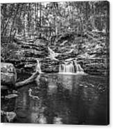 Waterfalls George W Childs National Park Painted Bw   #5 Canvas Print