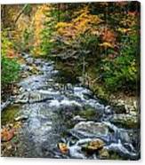 Stream Great Smoky Mountains Painted #4 Canvas Print