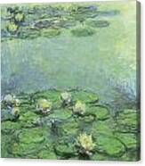 Water Lilies #5 Canvas Print