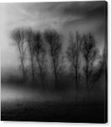 50 Shades Of Fog Canvas Print