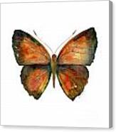 56 Copper Jewel Butterfly Canvas Print
