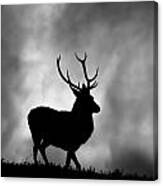 Stag Silhouette #6 Canvas Print