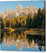 The Grand Tetons Schwabacher Landing Grand Teton National Park #1 Canvas Print