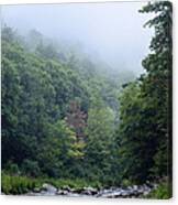 Williams River Summer Mist #6 Canvas Print