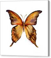 7 Yellow Gorgon Butterfly Canvas Print