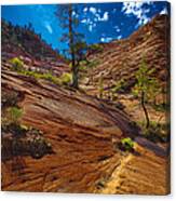 Zion National Park Utah Usa #7 Canvas Print