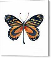 72 Cleobaea Butterfly Canvas Print