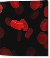 Red Blood Cells #8 Canvas Print
