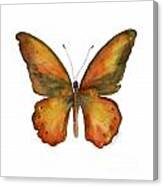 85 Lydius Butterfly Canvas Print