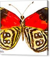 88  Butterfly Canvas Print