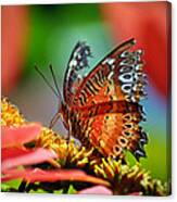 Butterfly #11 Canvas Print
