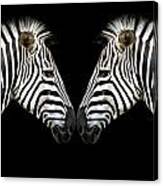 Zebra #9 Canvas Print