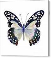 90 Angola White Lady Butterfly Canvas Print