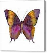 99 Marcella Daggerwing Butterfly Canvas Print