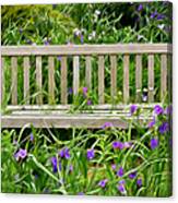 A Bench For The Flowers Canvas Print