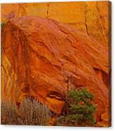 A Big Rock In The Canyon Canvas Print