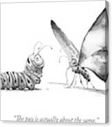 A Butterfly Talks To A Caterpillar Canvas Print