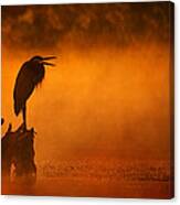 A Cry In The Mist Canvas Print