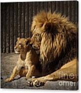 A Father's Love Canvas Print