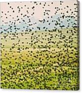 A Flock Of Freedom Canvas Print
