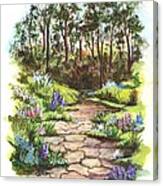 Down The Garden Pathway Canvas Print