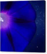 A Flower In The Cosmic Garden Canvas Print