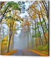 A Foggy Drive Into Autumn - Blue Ridge Parkway Canvas Print