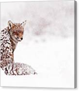 A Red Fox Fantasy Canvas Print