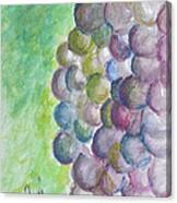 A Grape Day Canvas Print