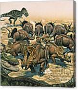 A Herd Of Triceratops Defend Canvas Print