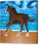 A Horse On The Beach Canvas Print