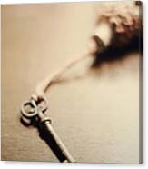 A Key... Canvas Print