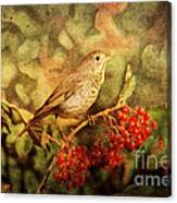 A Little Bird With Plumage Brown Canvas Print