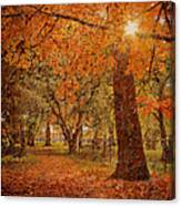 A Pathway Through The Maples Less Traveled Canvas Print