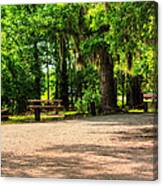 A Place For Picnic Canvas Print