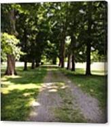 A Road Full Of History Canvas Print