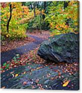 A Rocky Autumn In The Ramble Canvas Print