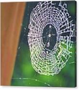A Spider Was Busy Canvas Print