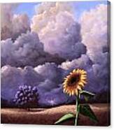 A Sunflower Among The Storm Canvas Print