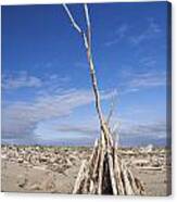 A Teepee Madeup Of Driftwood At Bandon Beach Canvas Print