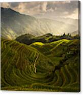 A Tuscan Feel In China Canvas Print