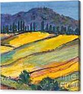 A Tuscan Hillside Canvas Print