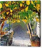 A Voult Of Lemons Canvas Print