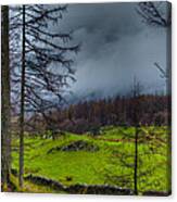 A Walk Through The Lake District Canvas Print