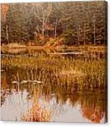 A Windham Pond In The Fall Canvas Print