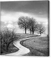 A Winding Country Road In Black And White Canvas Print