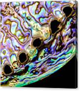 Abalone Shell Closeup Canvas Print