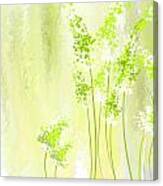 About Spring Canvas Print