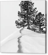 About The Snow And Forms Canvas Print