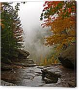 Above Kaaterskill Falls In The Fog Canvas Print